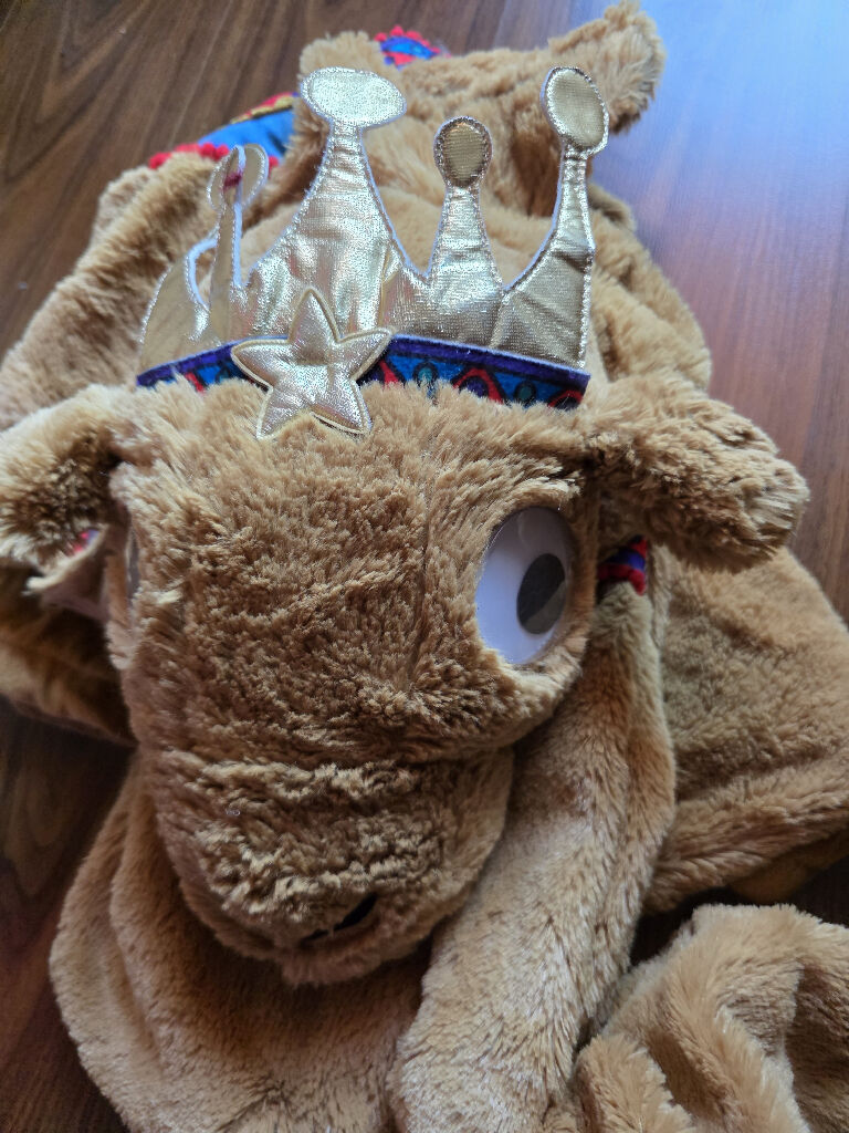 Camel costume