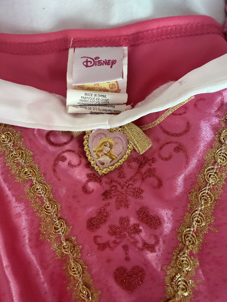 Disney Princess Aurora Costume