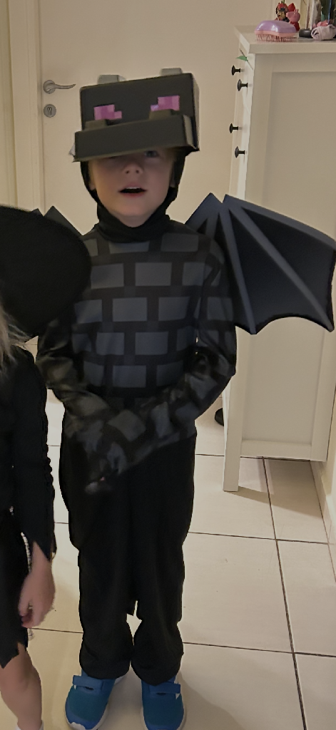 Minecraft Ender Dragon Costume 10-12