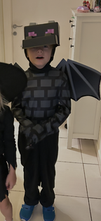 Minecraft Ender Dragon Costume 10-12