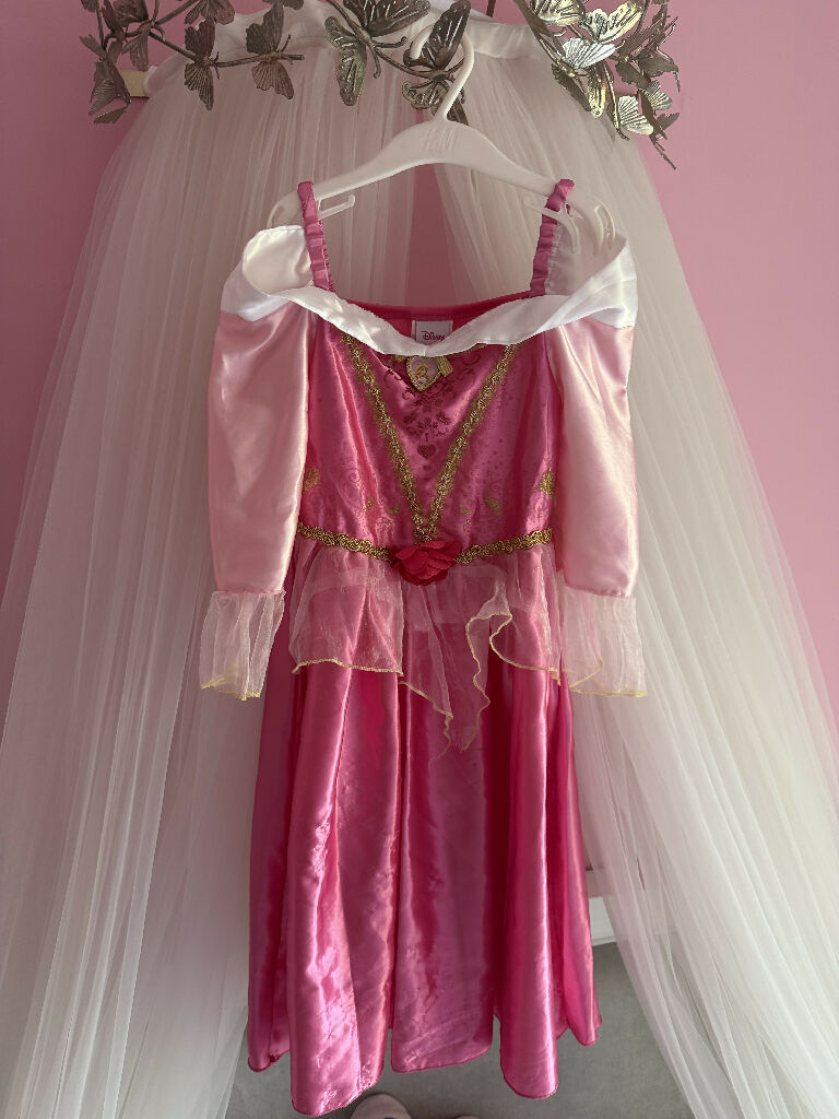 Disney Princess Aurora Costume